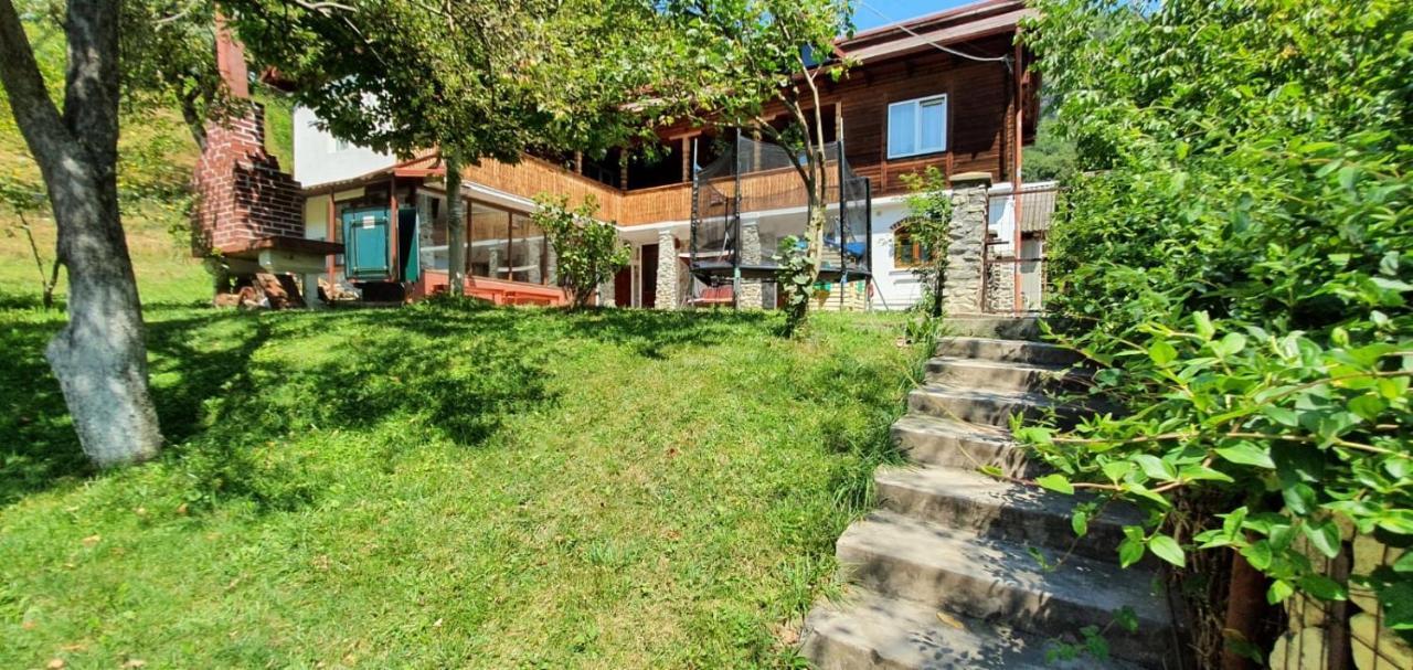 Casa Colt De Rai Villa Brezoi Exterior photo