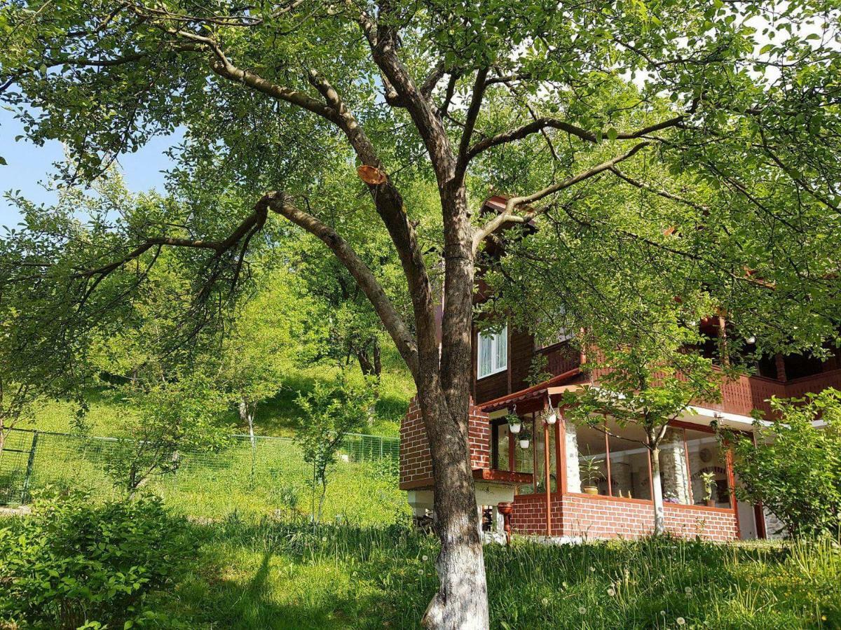 Casa Colt De Rai Villa Brezoi Exterior photo