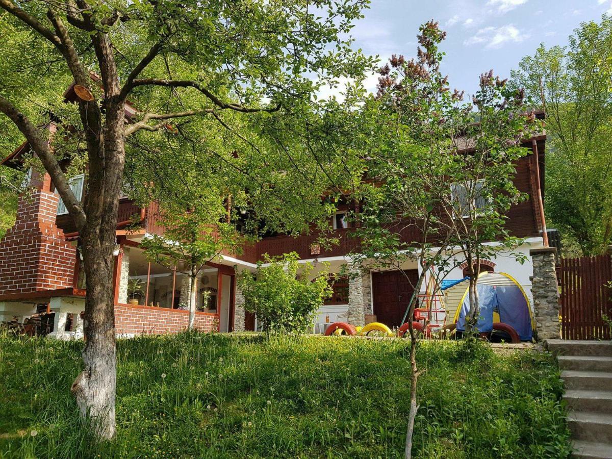 Casa Colt De Rai Villa Brezoi Exterior photo