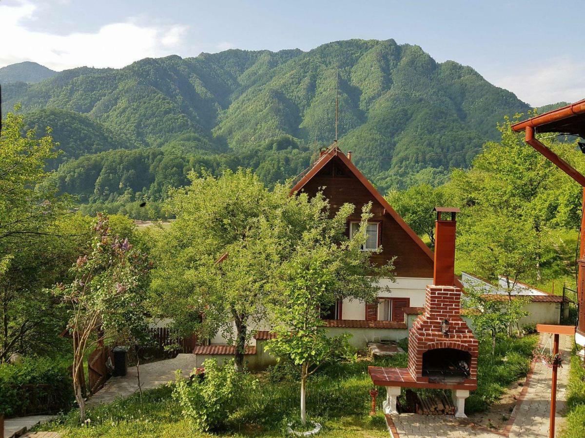 Casa Colt De Rai Villa Brezoi Exterior photo